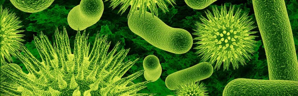 Realistic rendering of close up on green bacteria