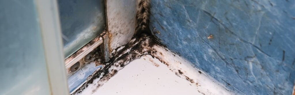 Close up image of moldy surface in a bathroom