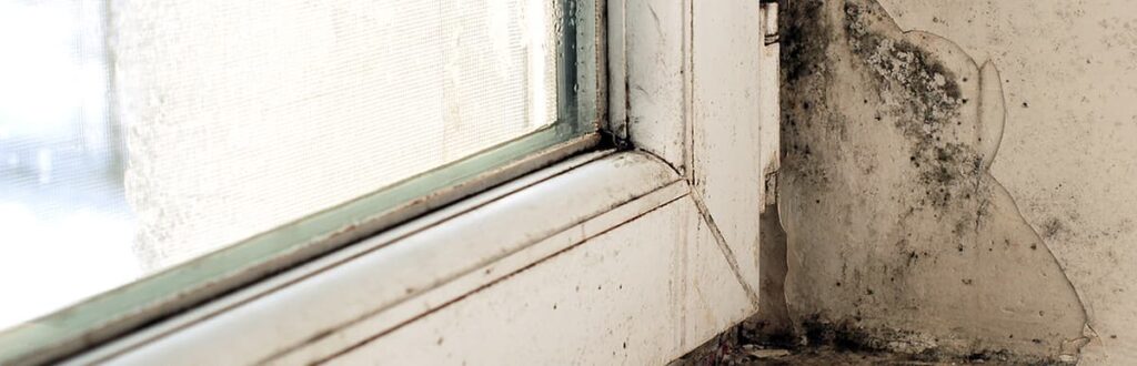 Mold buildup appearing on a window frame