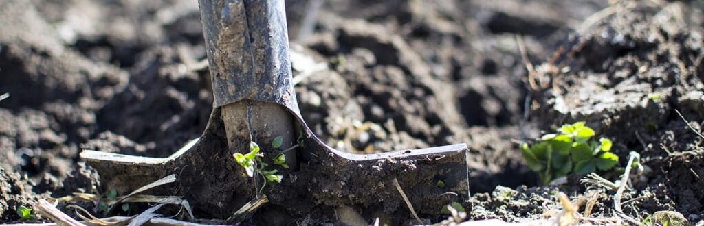 A shovel in soil