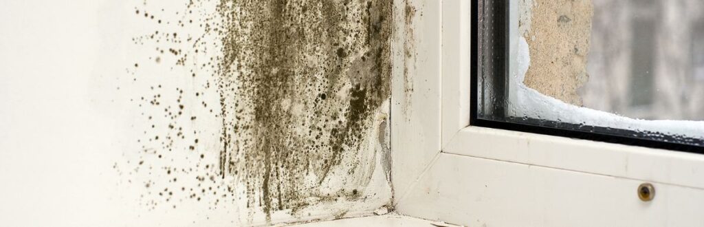 Black mold next to a window, developing due to humidity in the air outside.